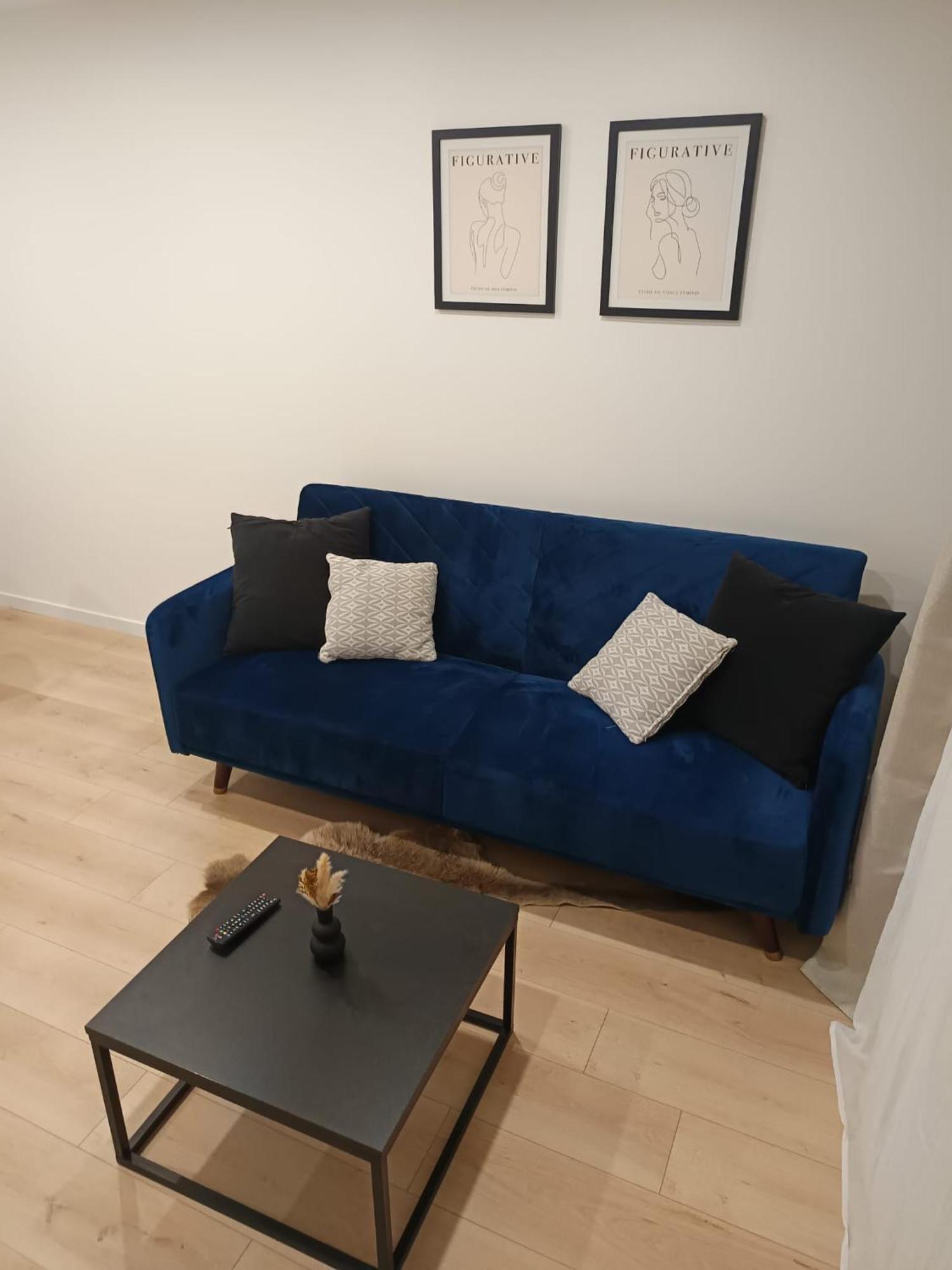 Superbe Appartement ! Saint-Etienne  Exteriér fotografie