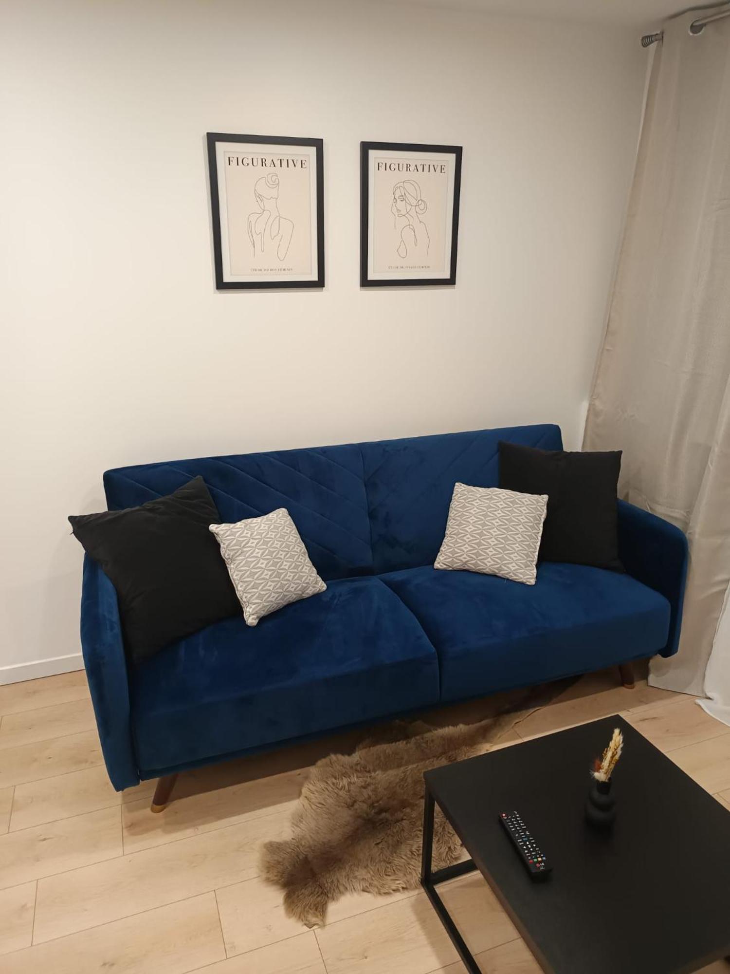Superbe Appartement ! Saint-Etienne  Exteriér fotografie